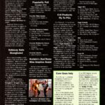Electronic Games LC2 Issue 17 (February 1994) 0013