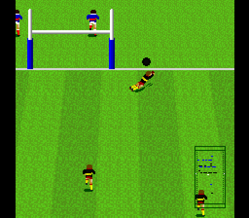 rugby large