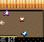 atv racing (5)