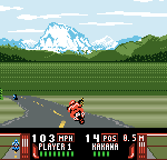 roadrash (1)