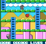 pocket (1)