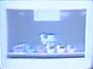 Unknown Educational game thumbnail